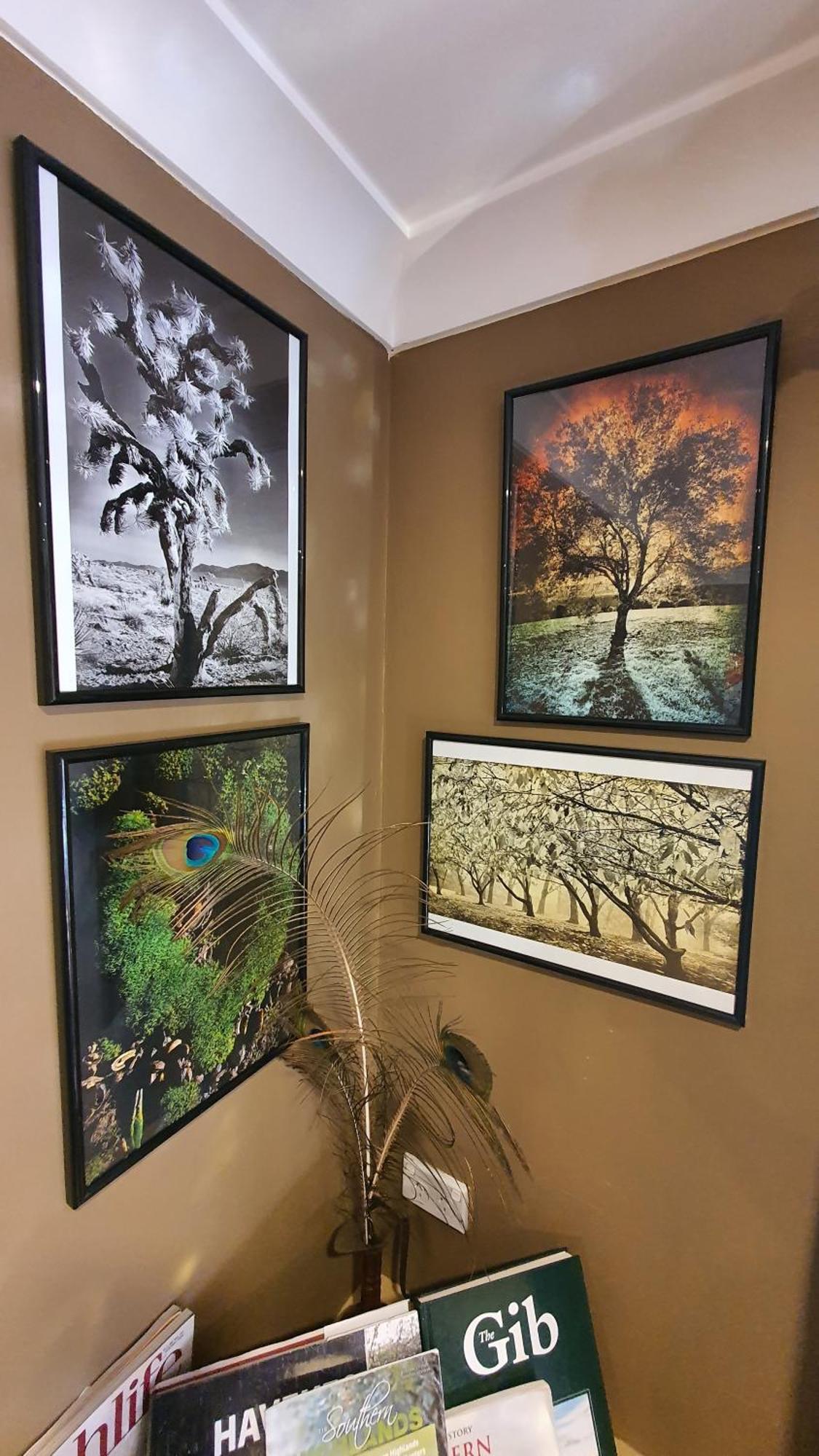 Bowral Road Art Gallery Bed And Breakfast Міттаґонґ Екстер'єр фото