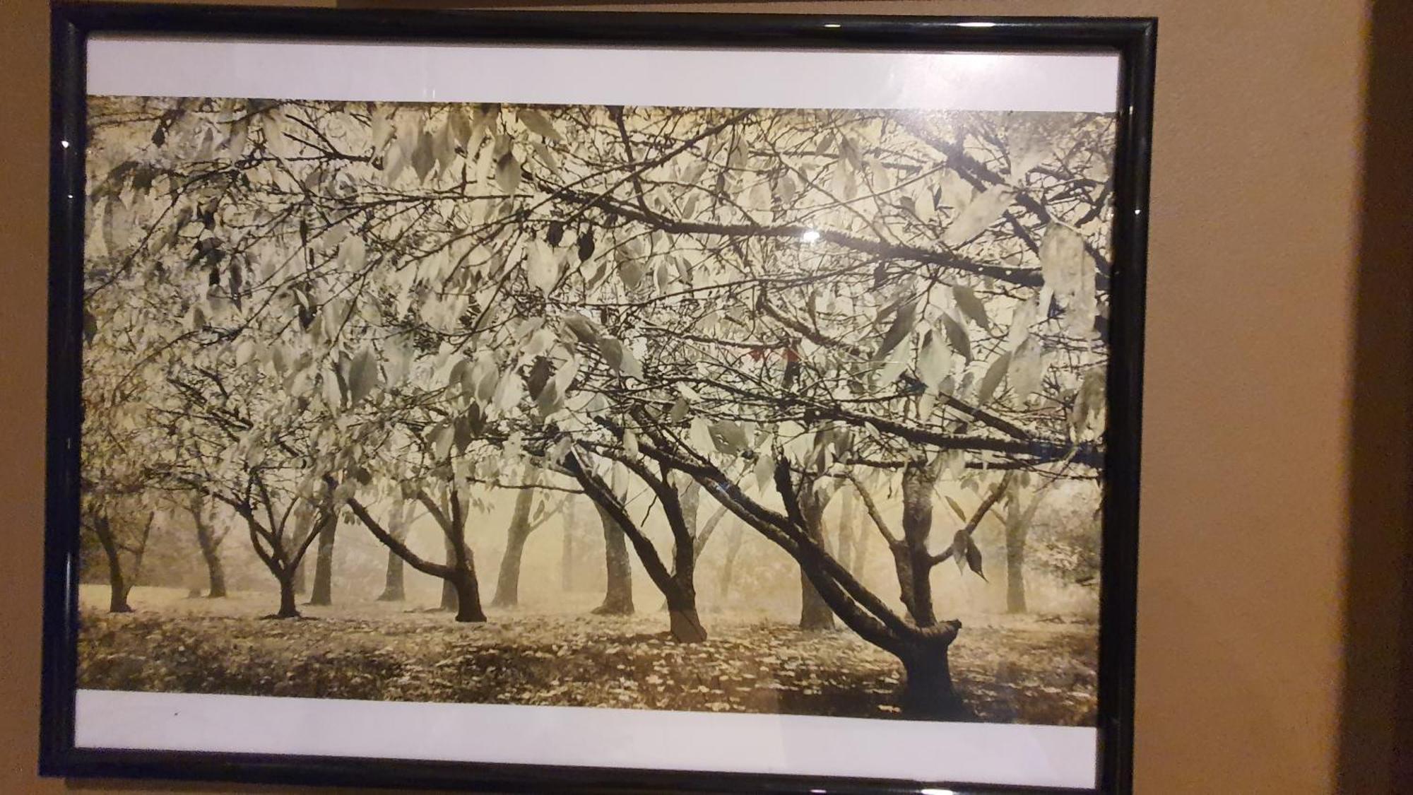 Bowral Road Art Gallery Bed And Breakfast Міттаґонґ Екстер'єр фото