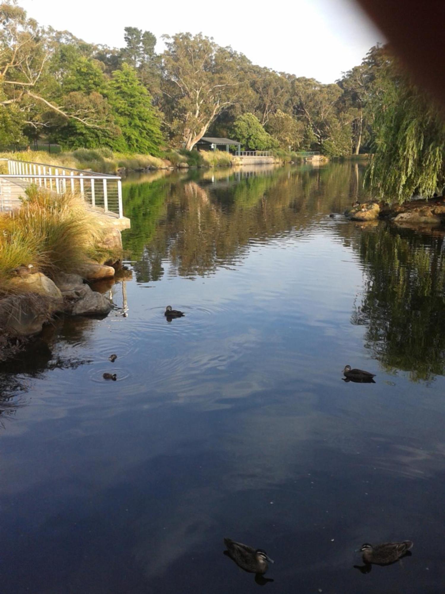 Bowral Road Art Gallery Bed And Breakfast Міттаґонґ Екстер'єр фото