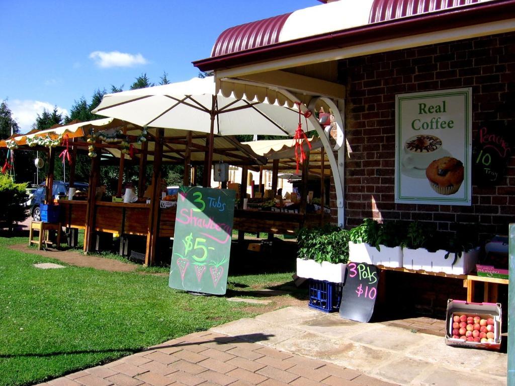 Bowral Road Art Gallery Bed And Breakfast Міттаґонґ Екстер'єр фото