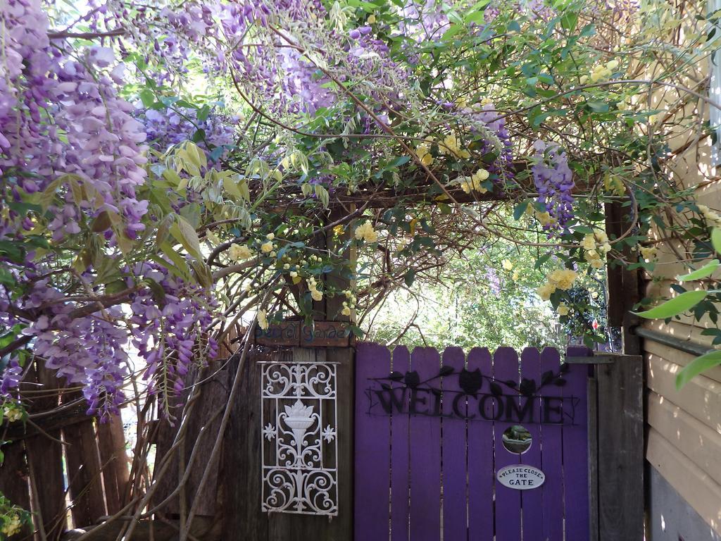 Bowral Road Art Gallery Bed And Breakfast Міттаґонґ Екстер'єр фото